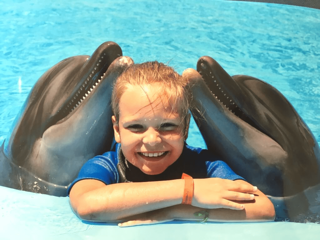 Pływanie z delfinami w Hurghadzie, Swimming with Dolphins In Hurghada