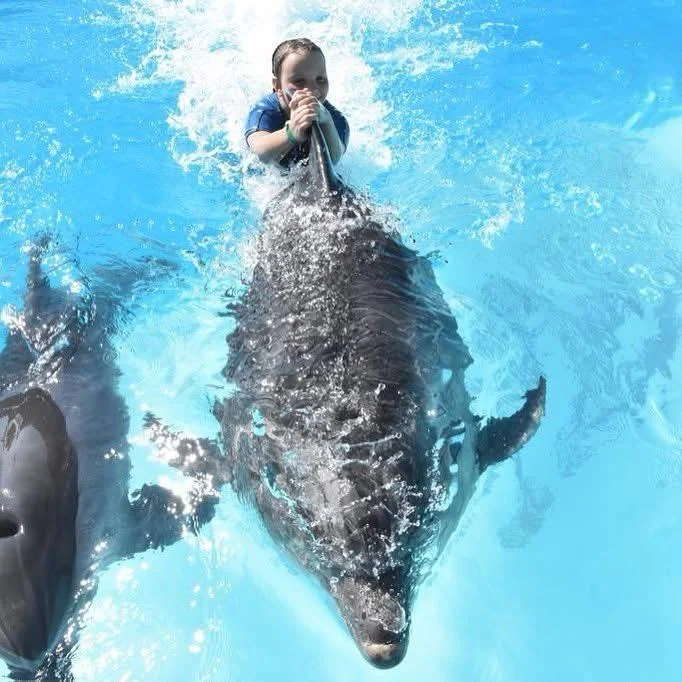 ПЛУВАНЕ С ДЕЛФИНИ В ШАРМ ЕЛ ШЕЙХ