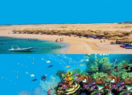 Sharm El Naga Trip with Turtle Snorkeling & Lunch