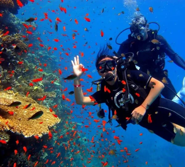 Scuba Diving Hurghada_ 2 Stops Dive With Equipments & Lunch