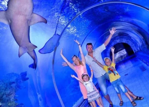 Hurghada Grand Aquarium Trip – With Transfer