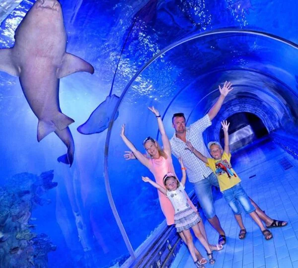 Hurghada Grand Aquarium Trip – With Transfer