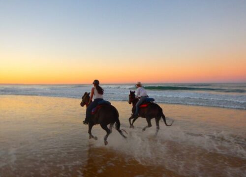 Horseback Riding in Hurghada with private Transfer