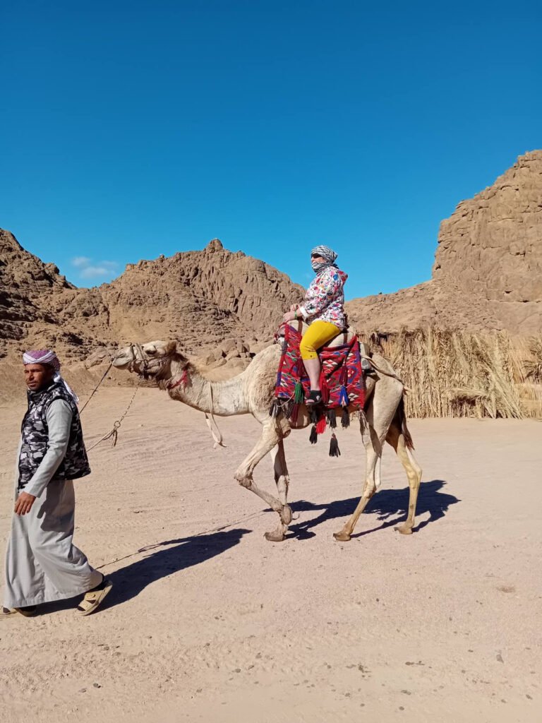 img-191096b2db5c1a9755fa24dab4cc5801-v