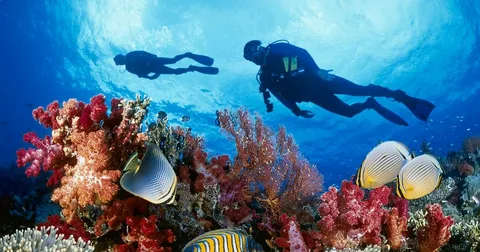 Diving Trip-Near Tiran Island- Sharm El Sheikh