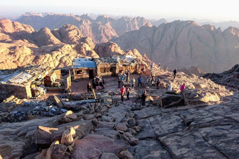 received_9882783546801602